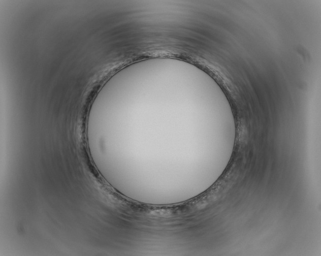X0000110680353200906121040