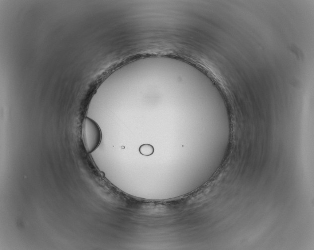 X0000110680354200906121040