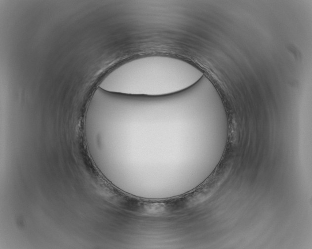 X0000110680355200906121040