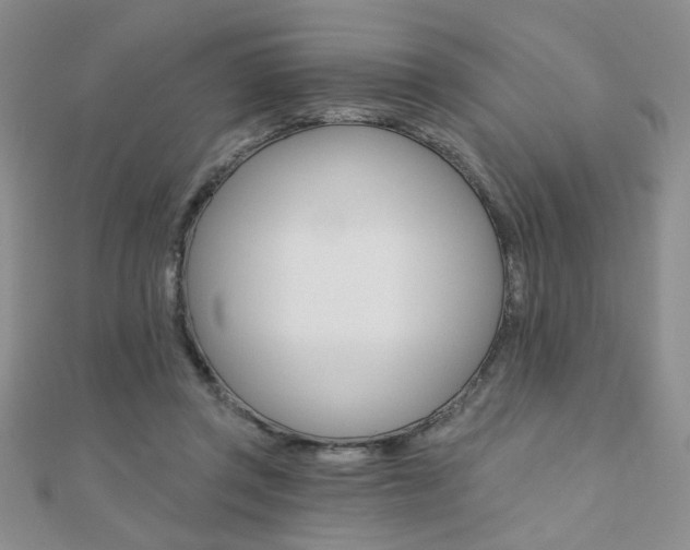 X0000110680357200906121040