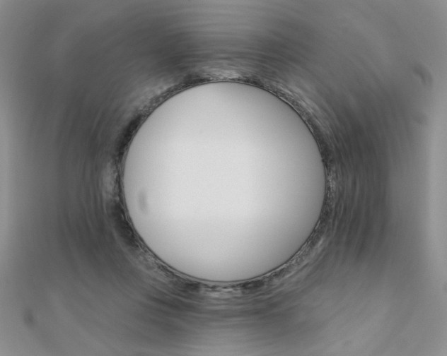 X0000110680359200906121040