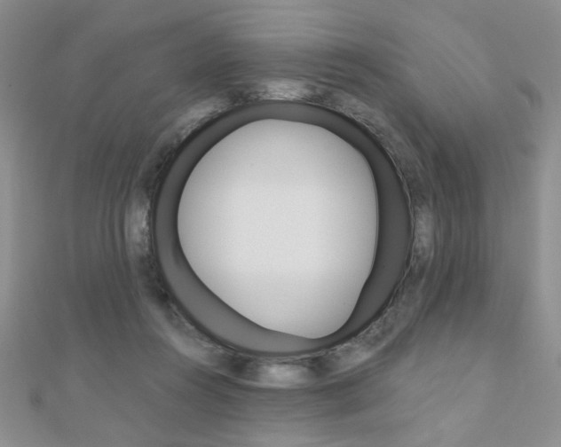X0000110680360200906121040