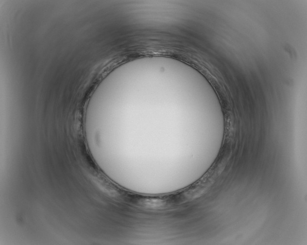 X0000110680361200906121040