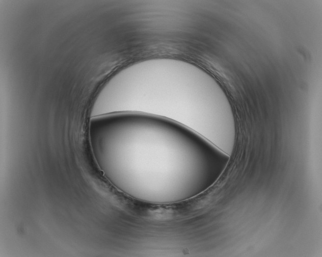 X0000110680362200906121040