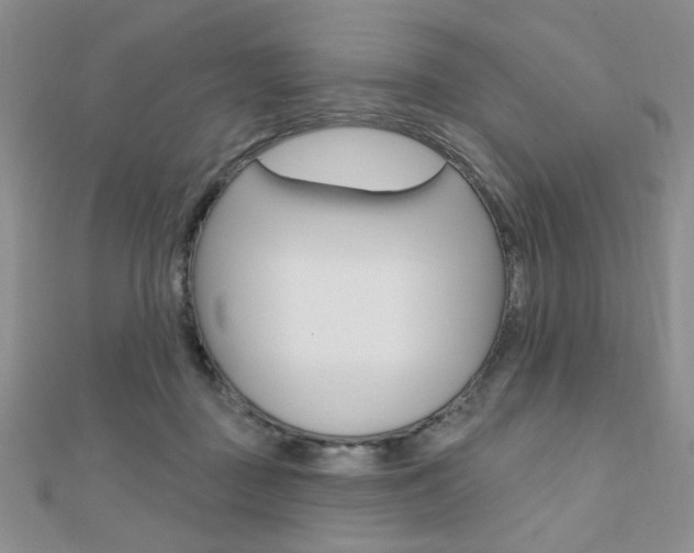 X0000110680363200906121040