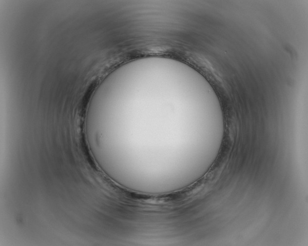 X0000110680366200906121040