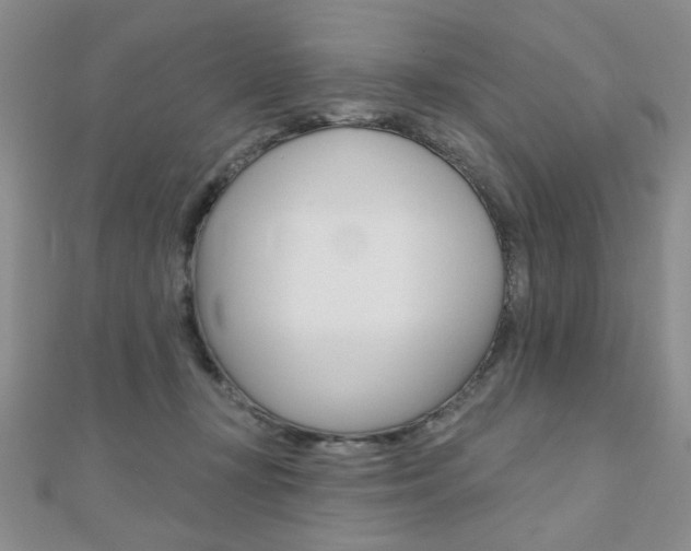 X0000110680367200906121040
