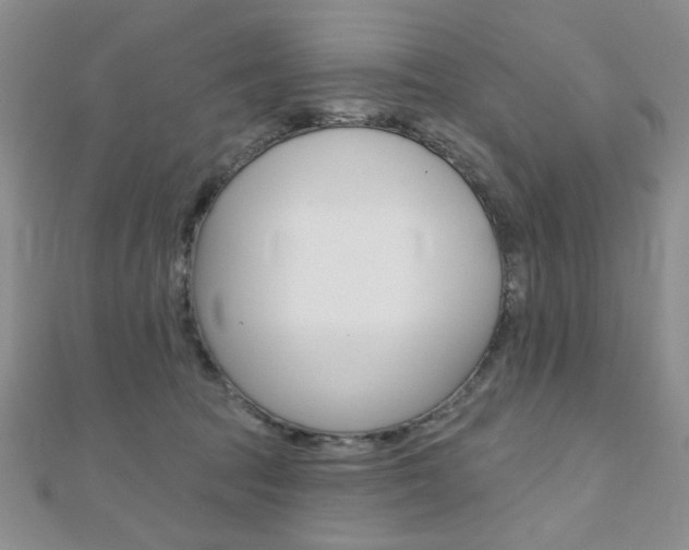 X0000110680369200906121040