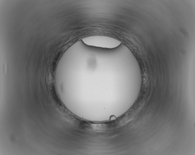 X0000110680371200906121040