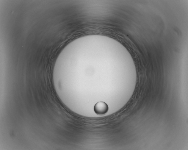 X0000110680372200906121040