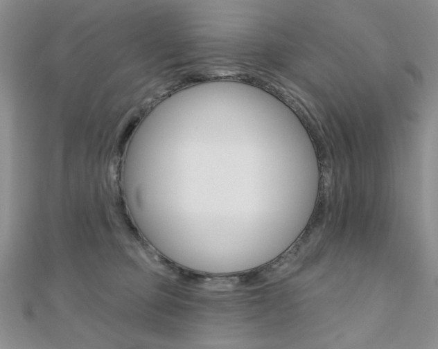 X0000110680373200906121040