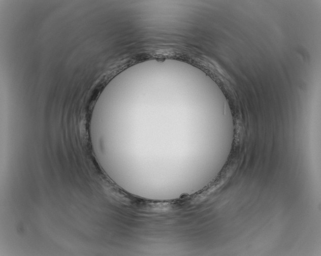 X0000110680377200906121040