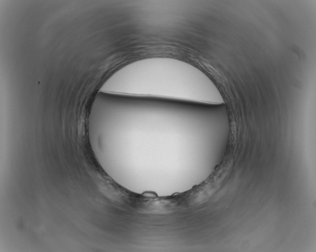 X0000110680379200906121040