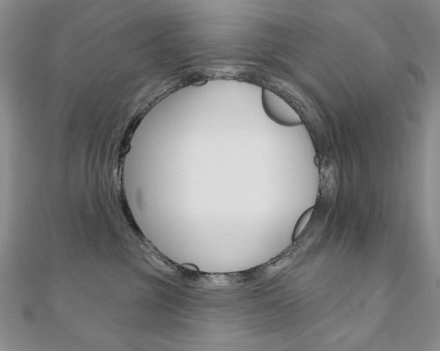 X0000110680381200906121040