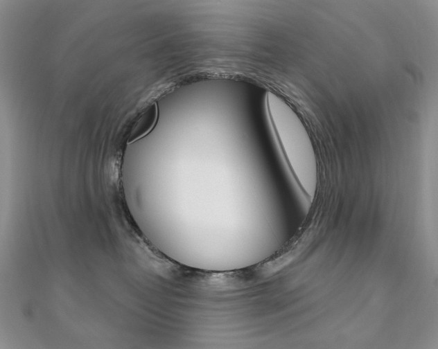 X0000110680382200906121040
