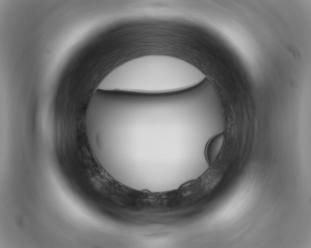 X0000110680383200906121040