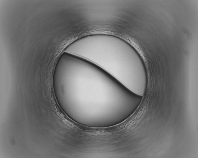 X0000110680385200906121039