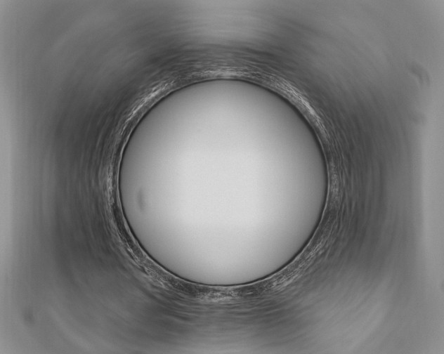 X0000110680386200906121039