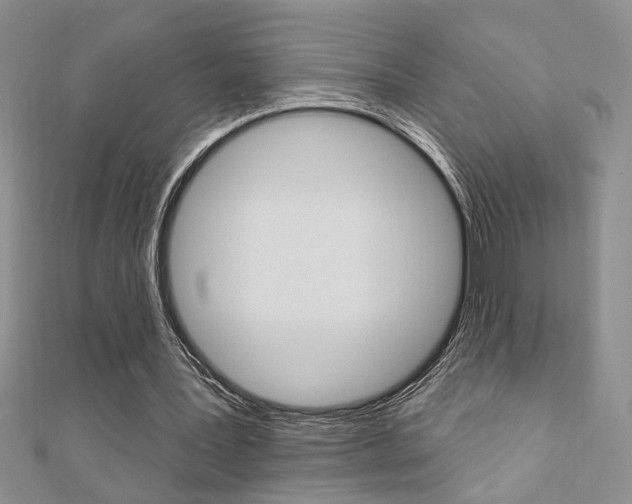 X0000110680387200906121039