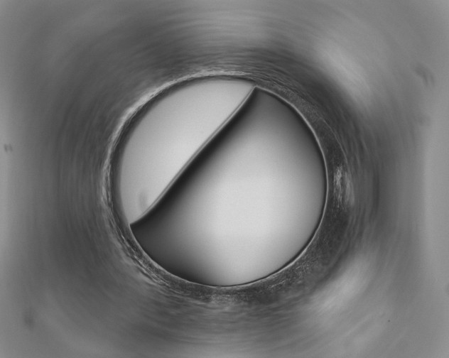 X0000110680388200906121039