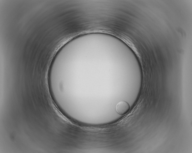 X0000110680389200906121039