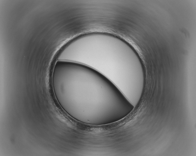 X0000110680391200906121039