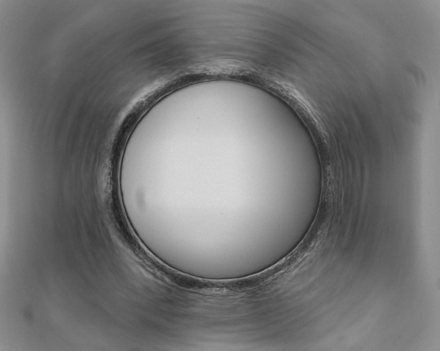 X0000110680392200906121039