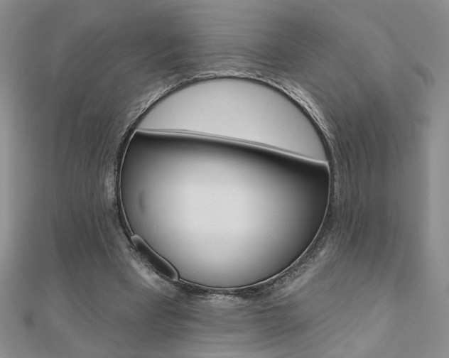 X0000110680393200906121039