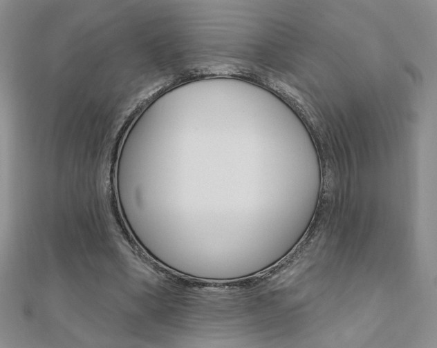 X0000110680394200906121039