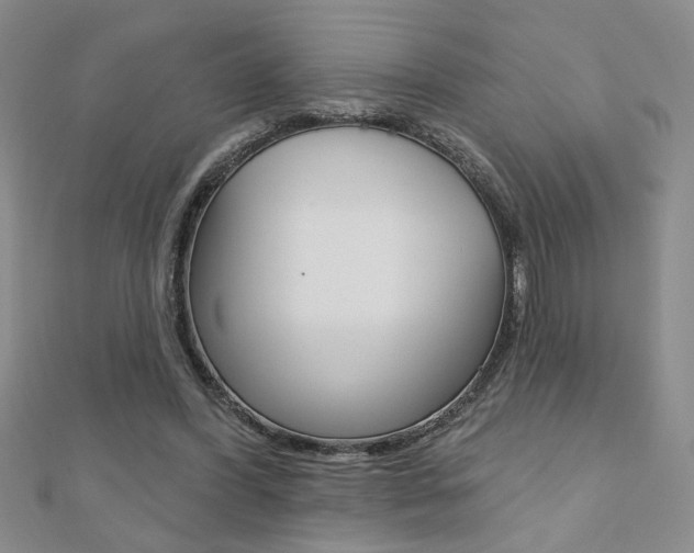 X0000110680396200906121039