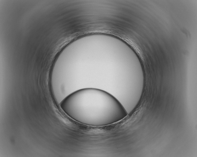 X0000110680397200906121039