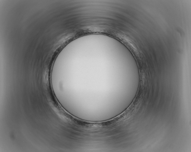 X0000110680398200906121039