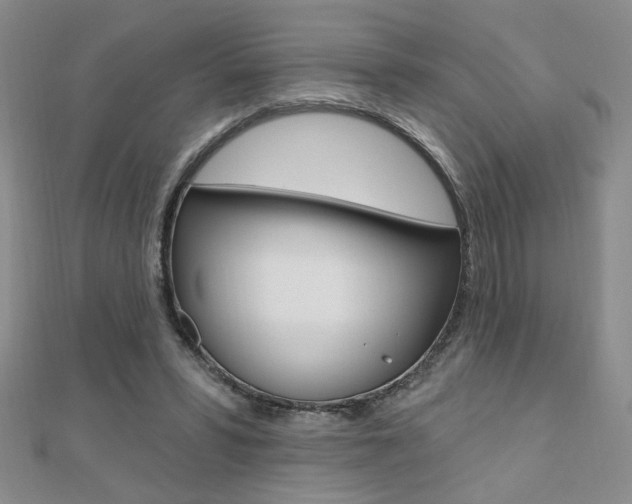 X0000110680399200906121039