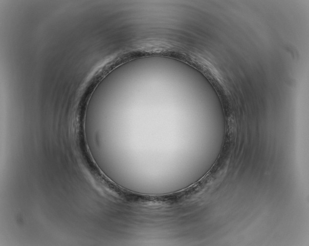 X0000110680400200906121039