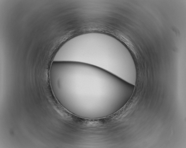 X0000110680401200906121039
