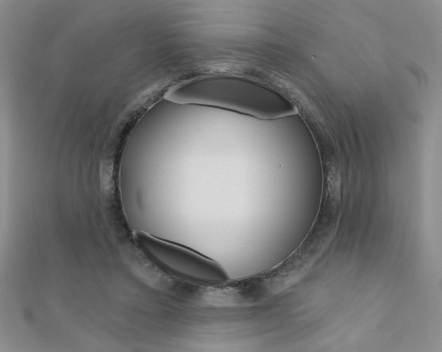 X0000110680403200906121039