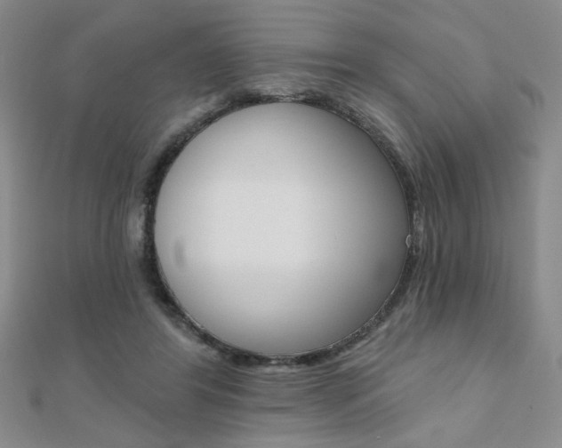 X0000110680404200906121039