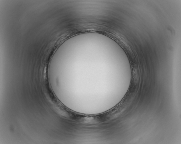 X0000110680406200906121039