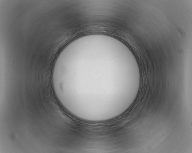 X0000110680411200906121039
