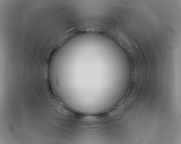 X0000110680413200906121039