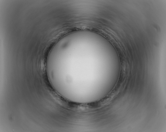 X0000110680420200906121039