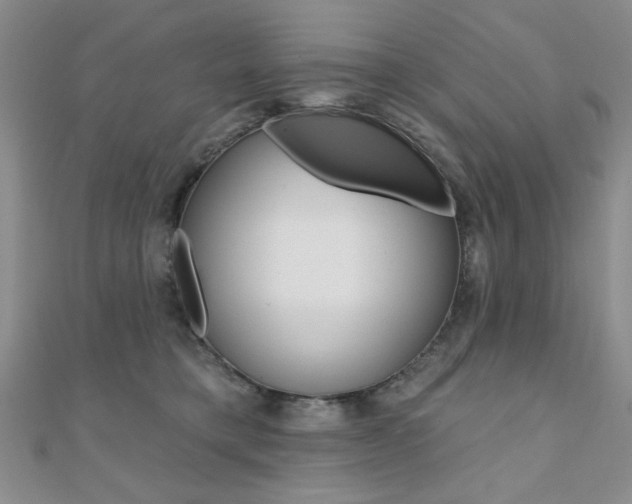 X0000110680421200906121039