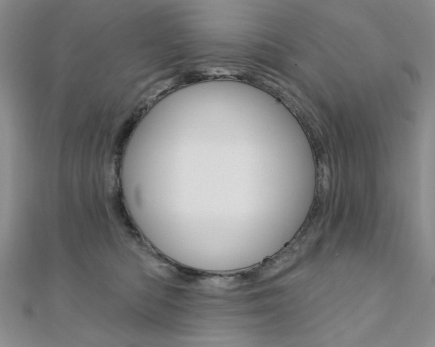 X0000110680422200906121039