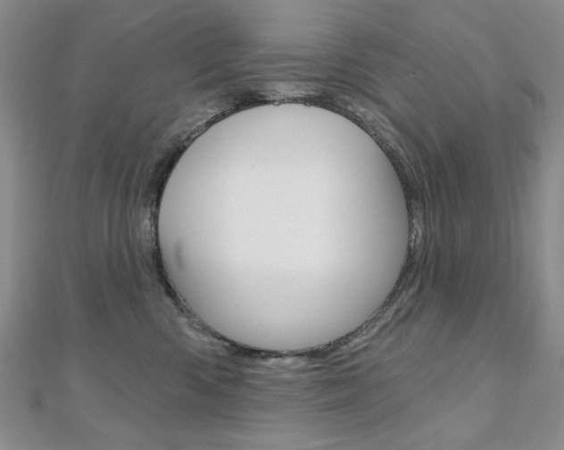 X0000110680426200906121039