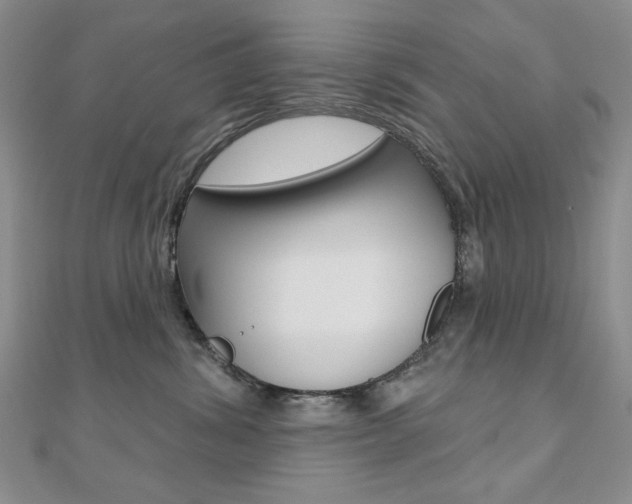 X0000110680428200906121039