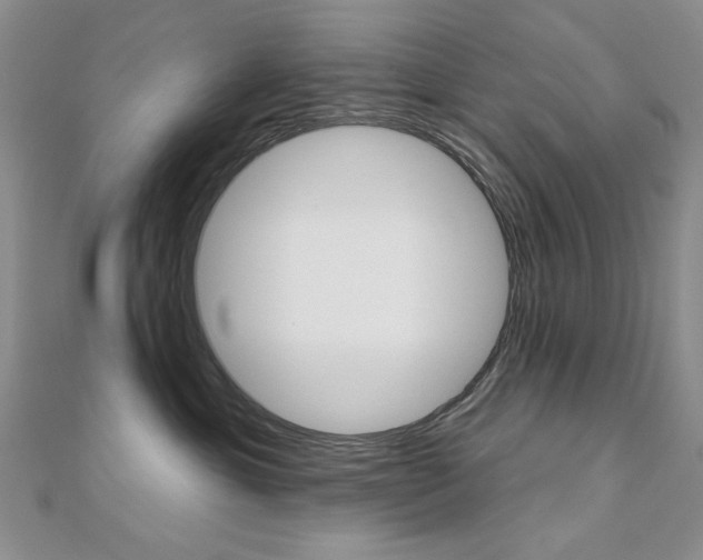 X0000110680429200906121039