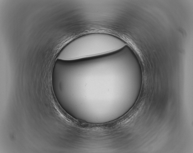 X0000110680433200906121038