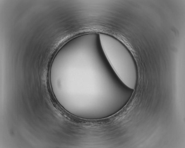 X0000110680434200906121038