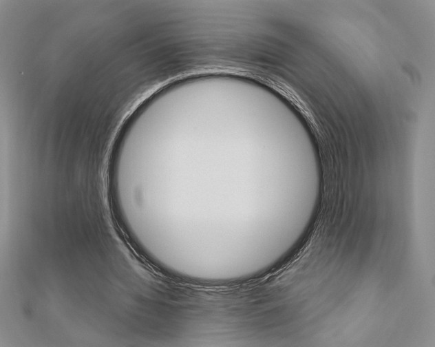 X0000110680436200906121038