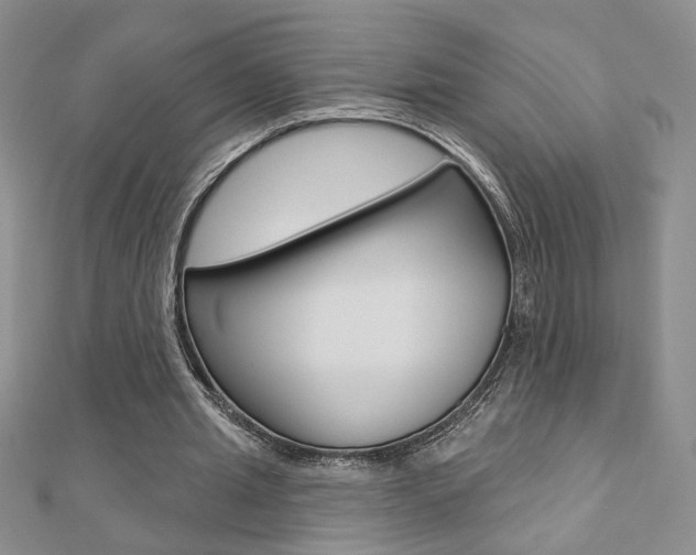 X0000110680437200906121038